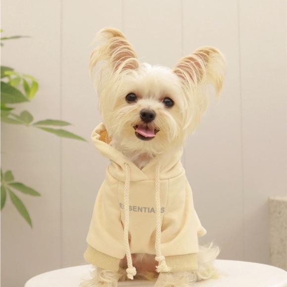 FOG Essentials hoodie cat god cloth - Picture 7 of 10